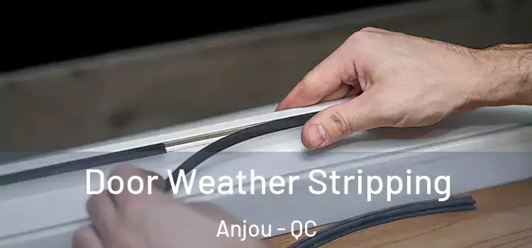 Door Weather Stripping Anjou - QC