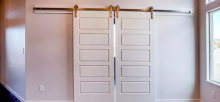 Glass Barn Door with Installation Hardware Kit Anjou