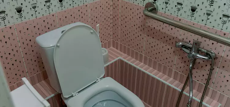 Meeting Diverse Needs With Accessible Restroom Solutions in Anjou, QC